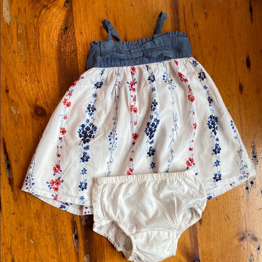 BABY GAP GIRLS Floral Kids Dress with Bloomers